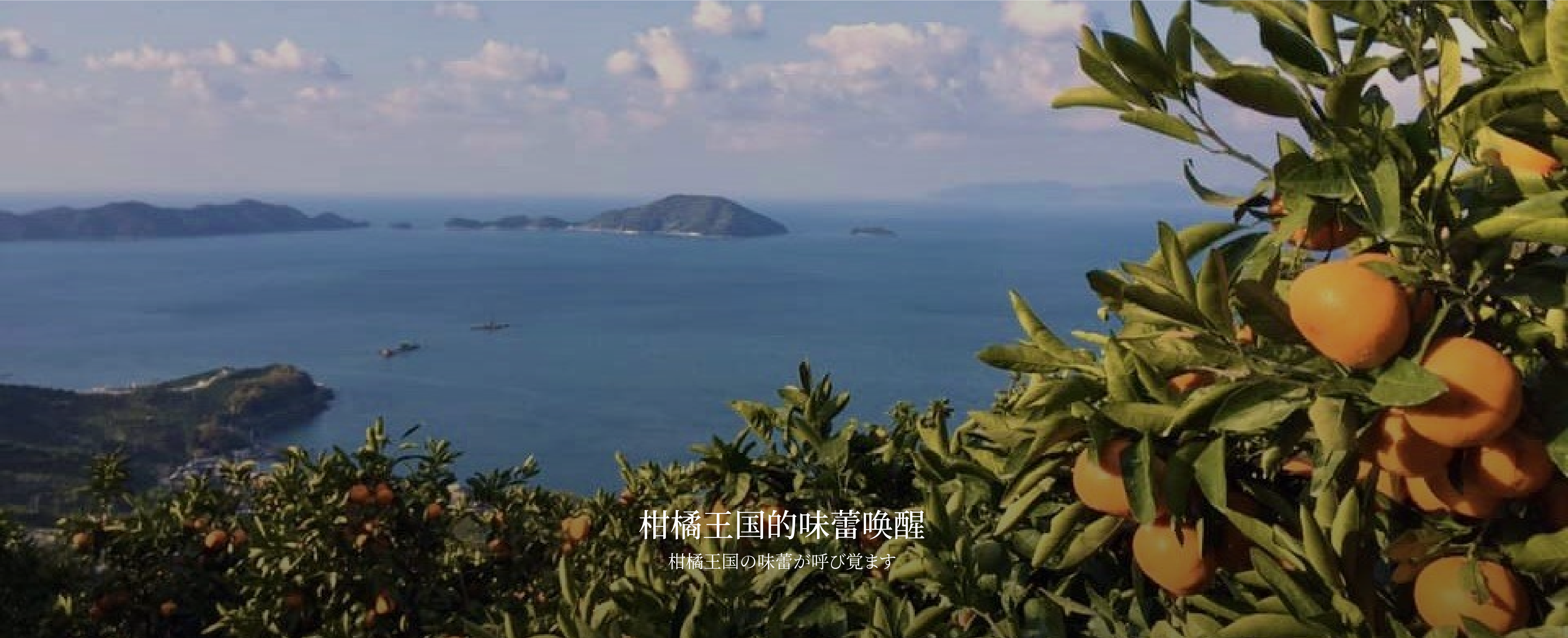 海风中失落的月下之城 特色 4